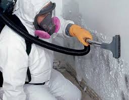 Best Mold Documentation for Insurance Claims  in Hernando, FL